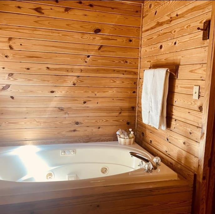 Rustic Black Bear Cabin Pigeon Forge Dış mekan fotoğraf
